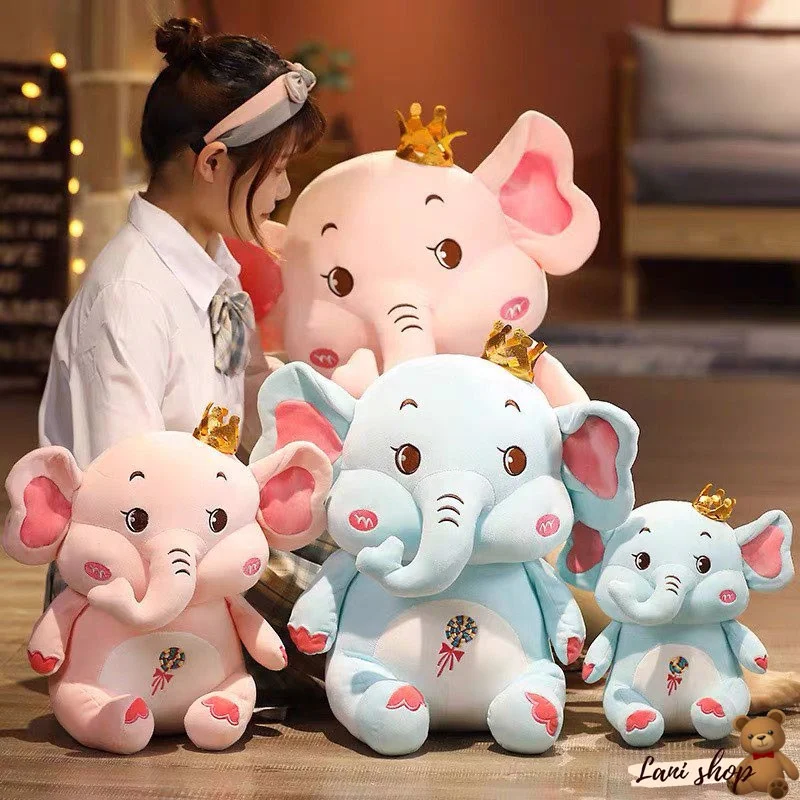 z3506649453608_691eba72cec2e5f152b3d0ac9af446a0_5357c95b3fe4483296edba4d9515c6d0_master