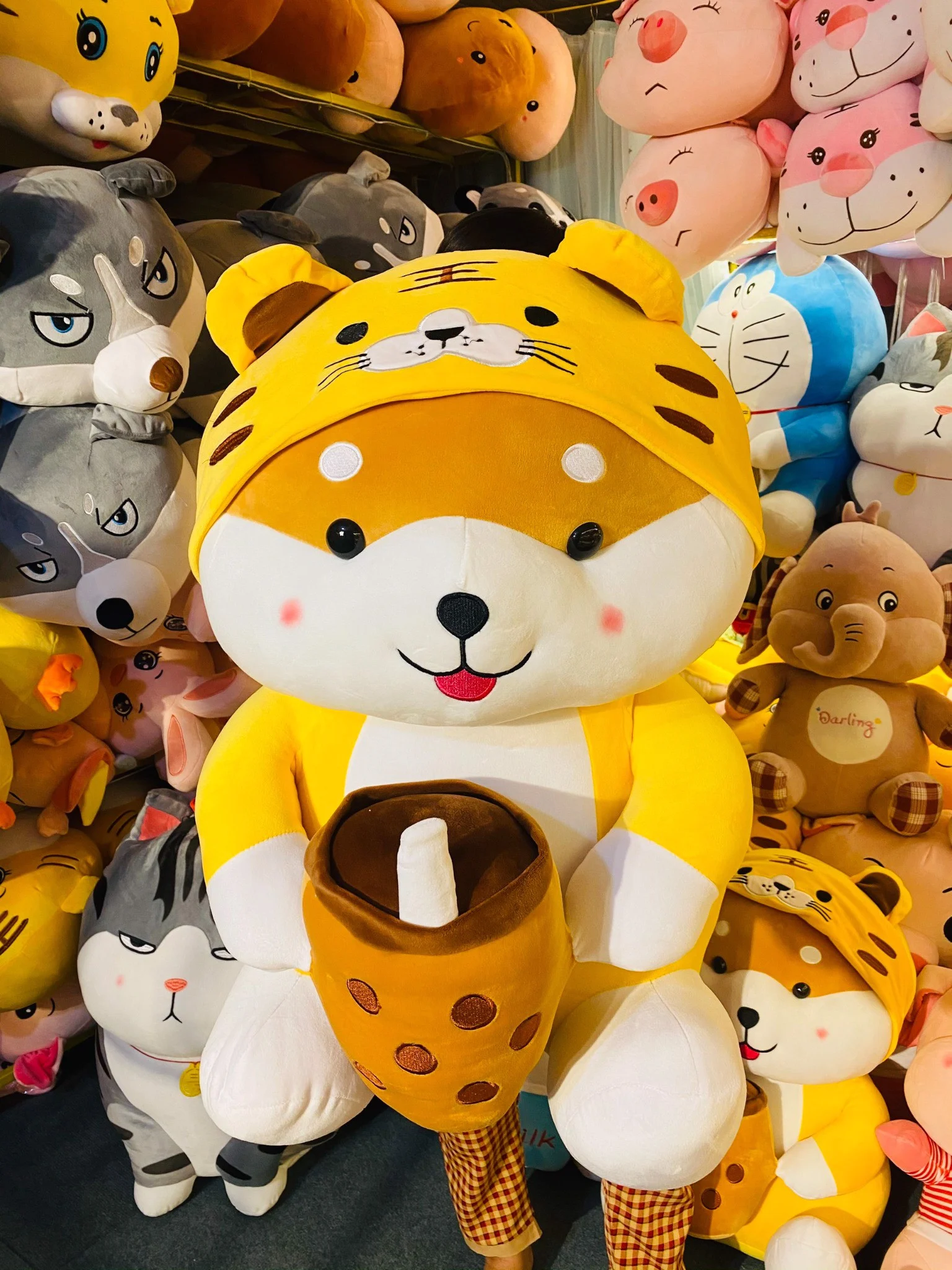 z3996954192597_a02bd4901eeee201eff26402cc362ac6_7c6936591fd54cfda94b7f0d8a0e3455_master