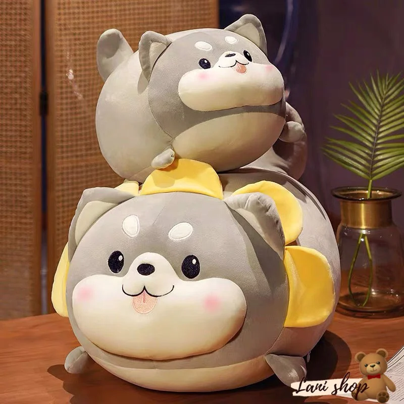 z4512617290006_eedbf1d0ff7419cc30b561b8595430ba_37d473308f704c0cb9a688e2c0049d12_master